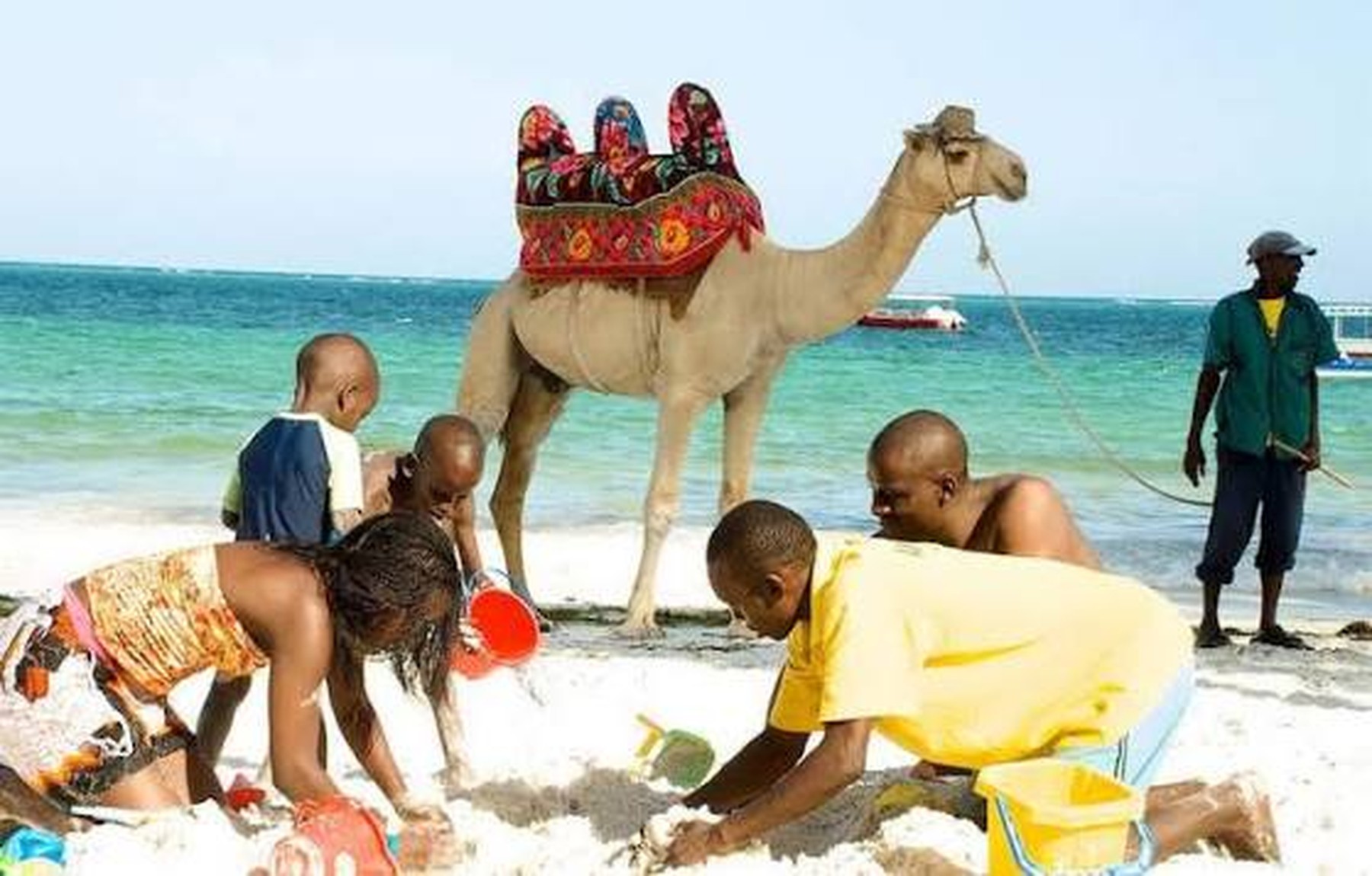 Camel ride and kids playing in the sand on a Mombasa beach