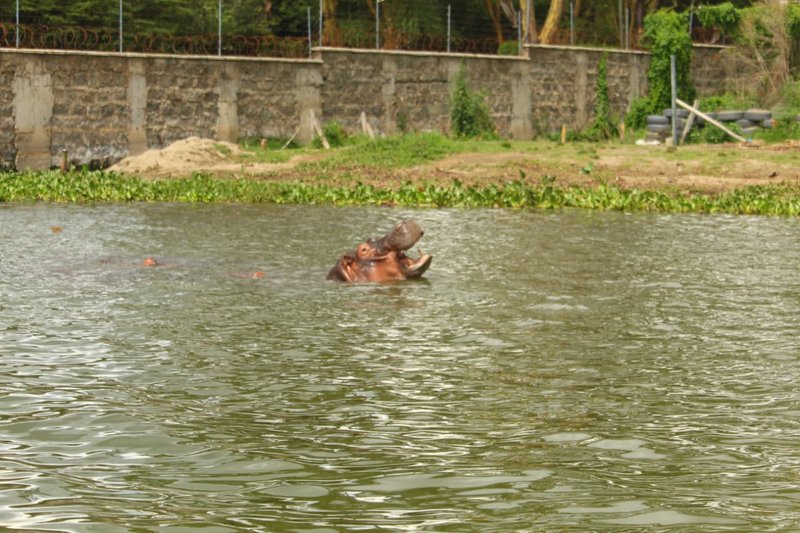 Naivasha trip moment