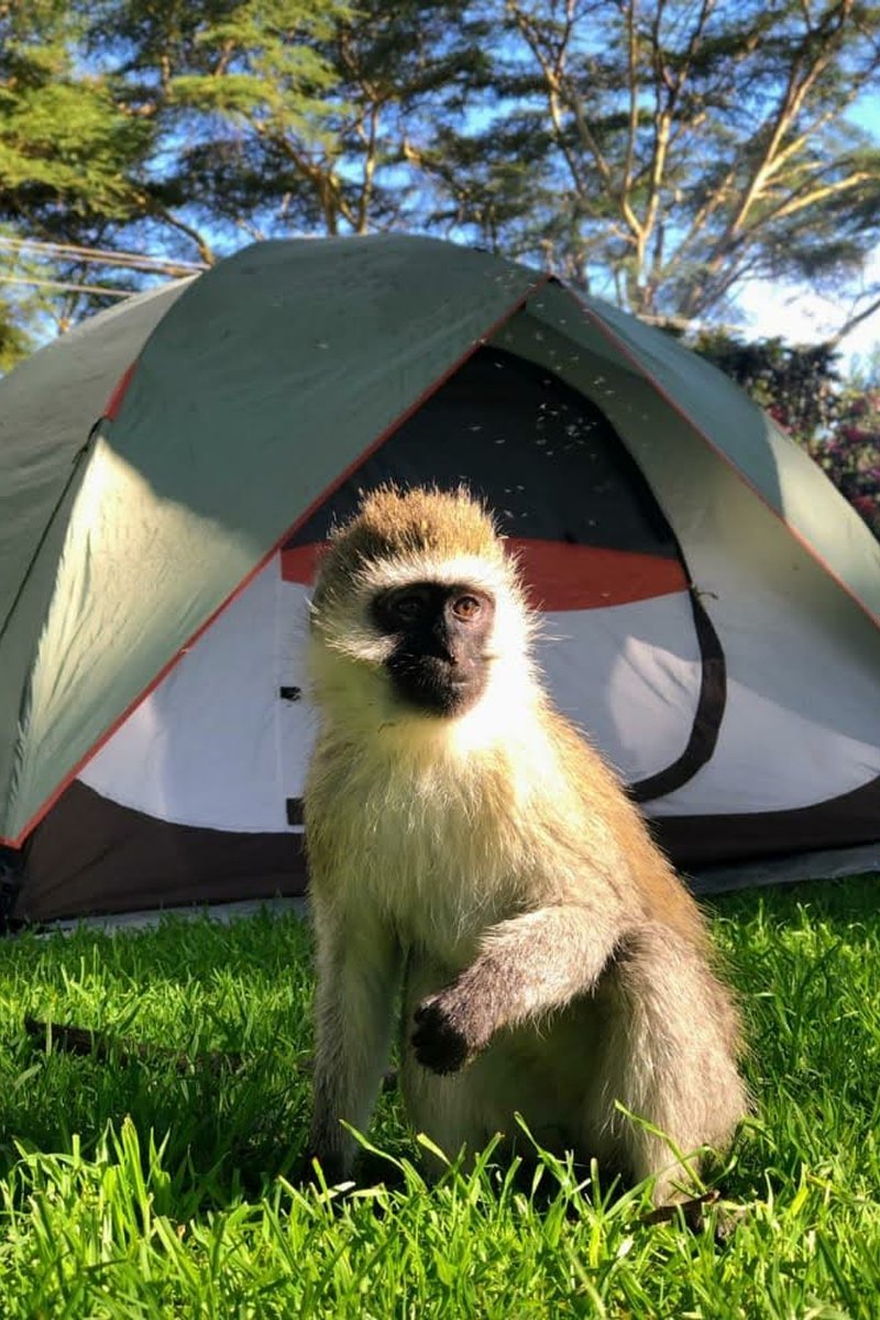 Naivasha trip moment