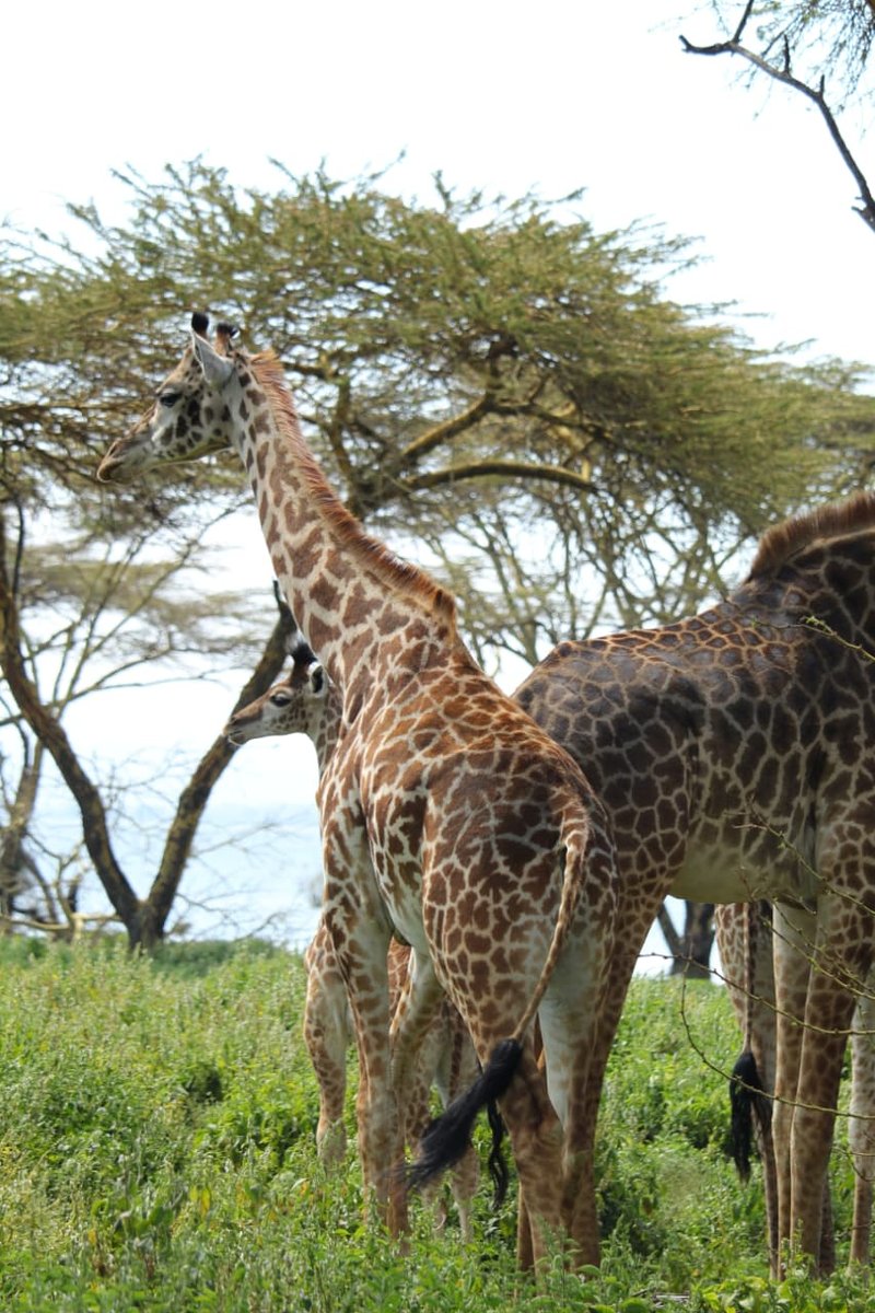 Naivasha trip moment