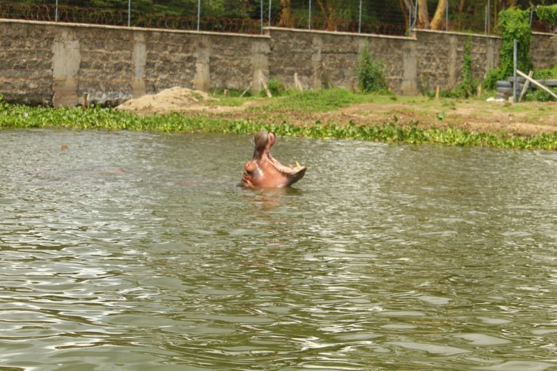 Naivasha trip moment