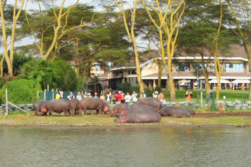 Naivasha trip moment