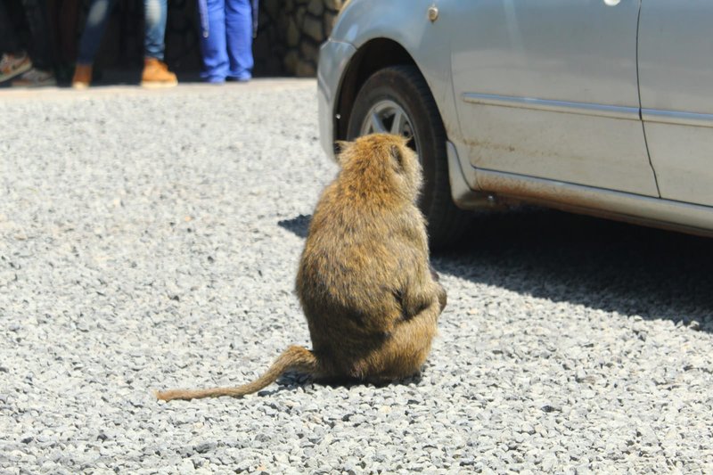 Naivasha trip moment