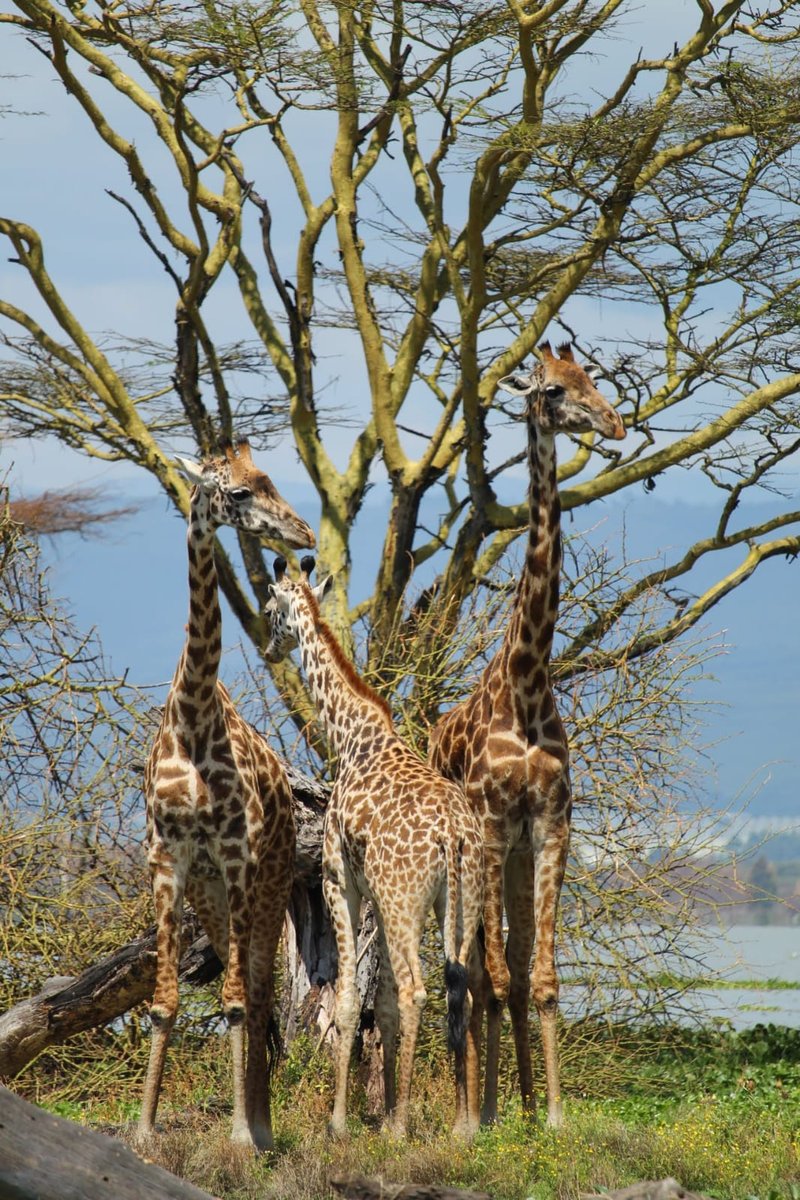 Naivasha trip moment